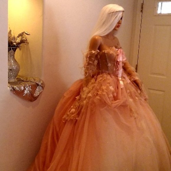 ADELIA Blush Medieval Wedding Ballgown Set - Picture 1 of 4